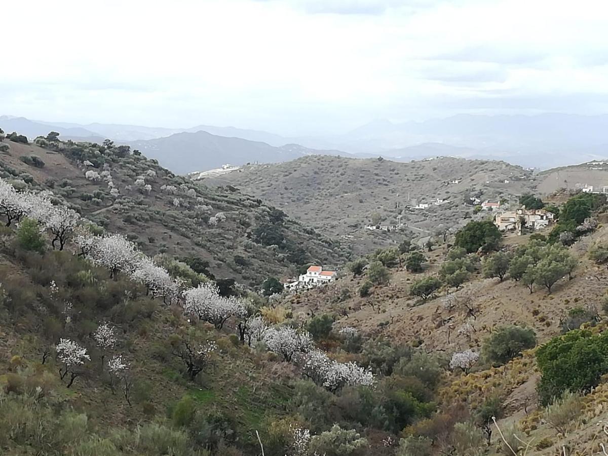 Bed and Breakfast Casa Aguila 2.0 Los Valverde Esterno foto